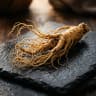 Panax Ginseng
